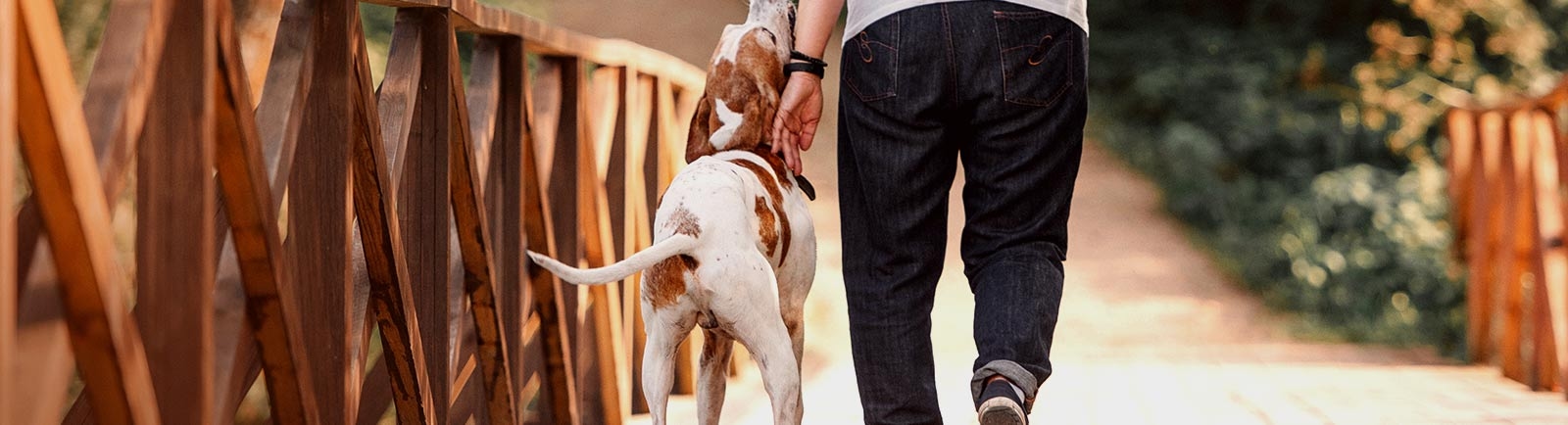 Crestview Animal Hospital & Emergency Crestview Animal Hospital & Emergency