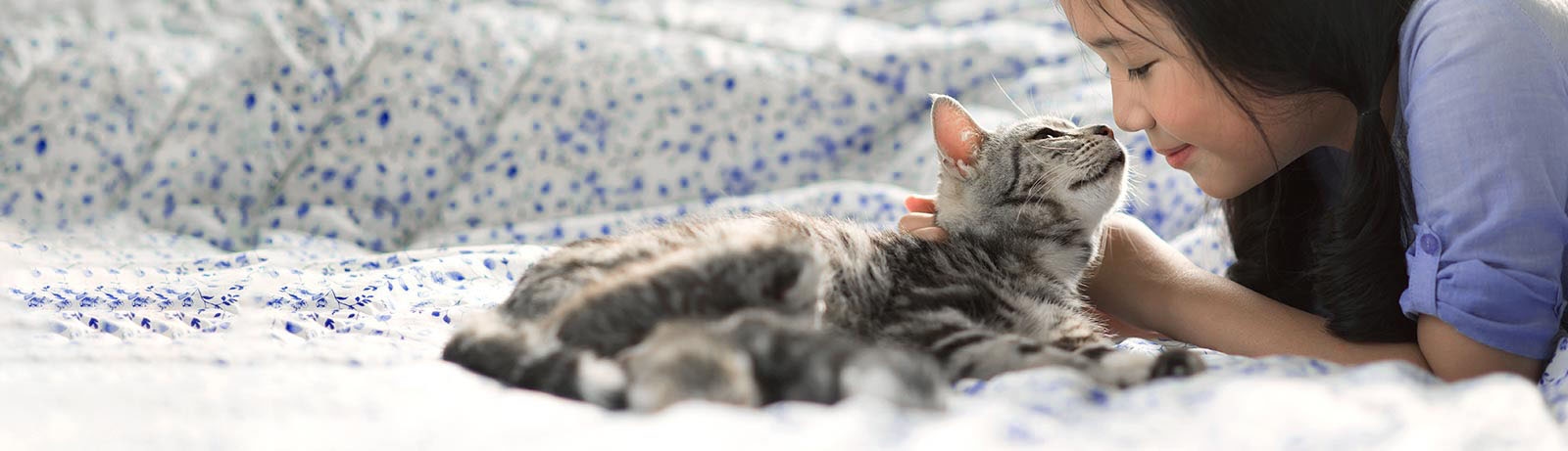 thomasville-veterinary-hospital-banner-3 thomasville-veterinary-hospital-banner-3