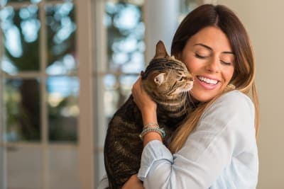 What Is Causing Your Cat's Bad Breath & What To Do What Is Causing Your Cat's Bad Breath & What To Do