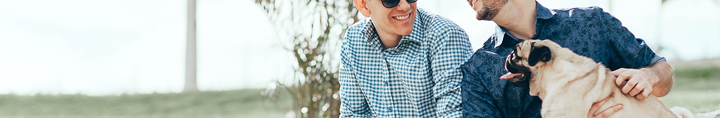 College Animal Hospital College Animal Hospital