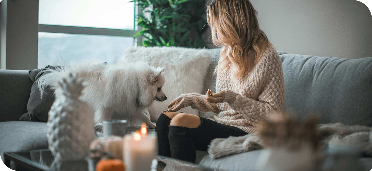 Eat with Dog Eat with Dog