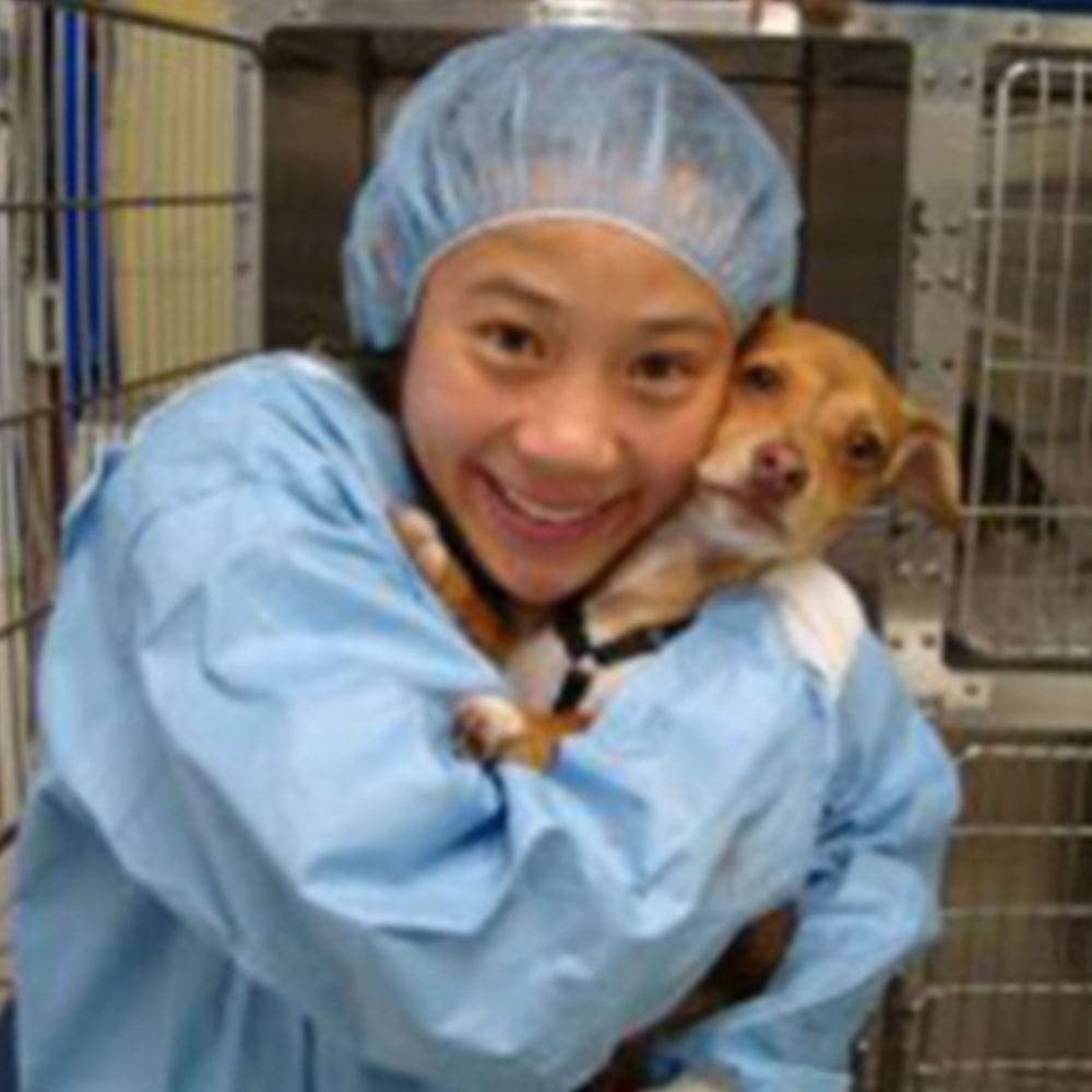 Dr. Angie Wong Dr. Angie Wong