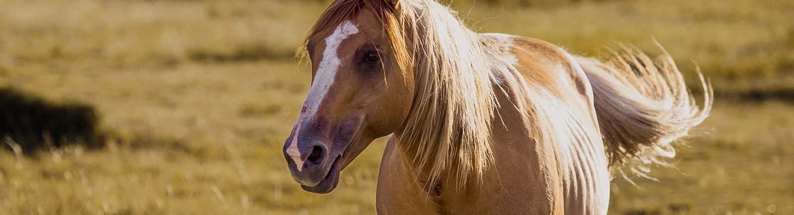 Northwest Veterinary Clinic of Mount Vernon Northwest Veterinary Clinic of Mount Vernon