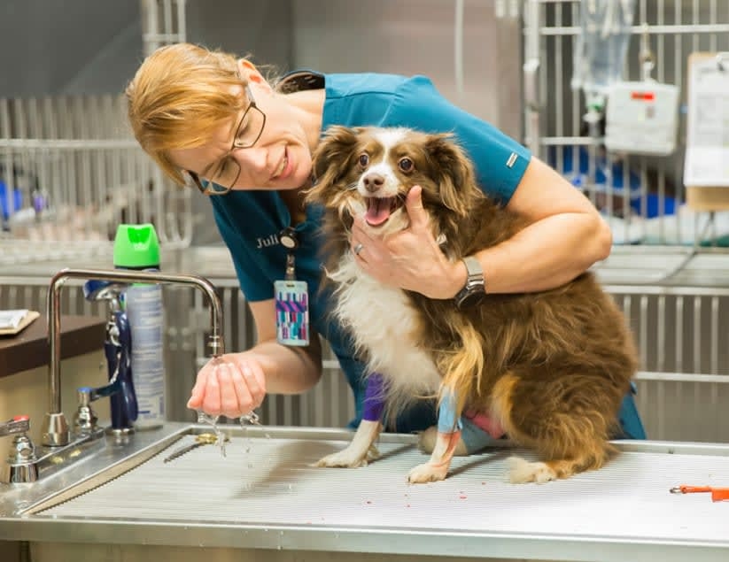 Arkansas Veterinary Emergency & Specialists in Little Rock Hero Image Arkansas Veterinary Emergency & Specialists in Little Rock Hero Image