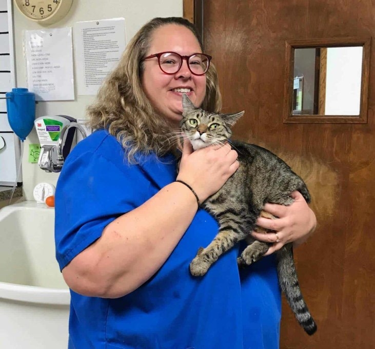 Veterinary Medical Associates Hero Image Veterinary Medical Associates Hero Image