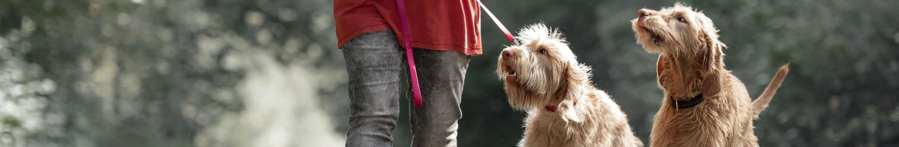 thomasville-veterinary-hospital-banner-3 thomasville-veterinary-hospital-banner-3